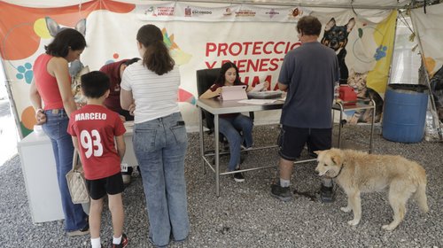 Escobedo impulsa adopción responsable de perros y gatos