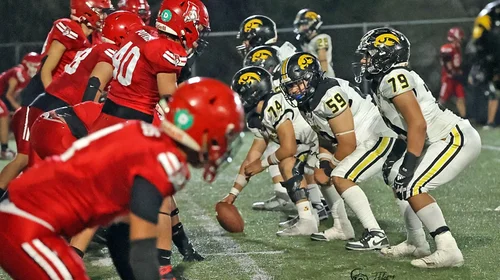 Whats_App_Image_2025_05_29_at_12_24_41_AM_c665cb19a3