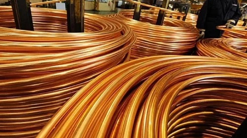 Whats_App_Image_2025_07_10_at_10_15_05_PM_18f9db4c2a