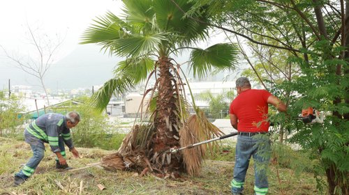 Whats_App_Image_2025_08_26_at_2_19_25_PM_1_7330bb2147