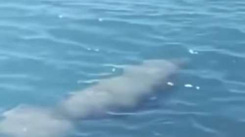 Whats_App_Image_2025_08_31_at_4_36_27_PM_c73eb6bd0a