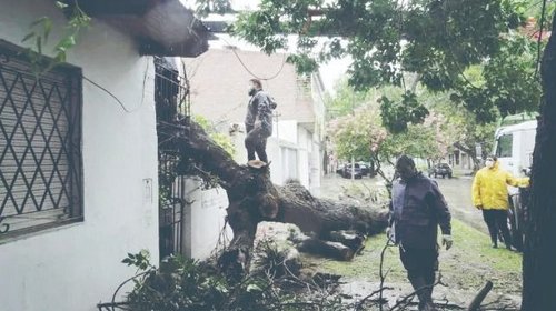 Whats_App_Image_2025_09_16_at_11_20_40_PM_cfd5e291ef