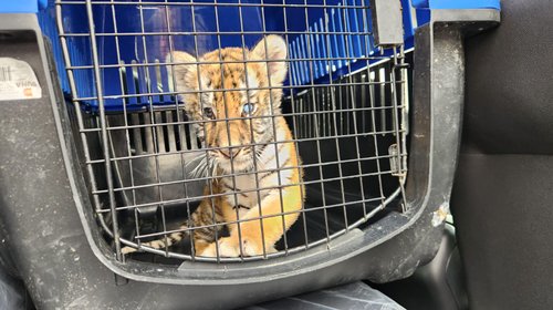 Whats_App_Image_2025_09_16_at_7_41_48_PM_8de45324f2