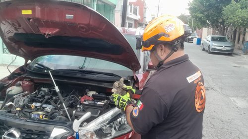 Whats_App_Image_2025_09_18_at_4_31_14_PM_73033d4b17