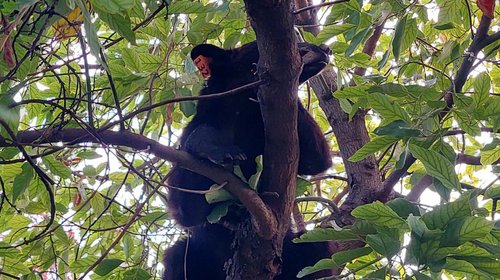 Whats_App_Image_2025_09_27_at_6_00_45_PM_05faf0375c