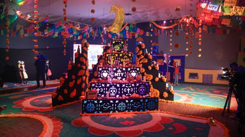 Whats_App_Image_2025_10_03_at_7_21_51_PM_4_a8bf0c0f1c