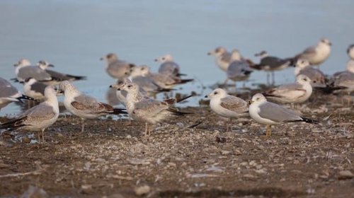 Whats_App_Image_2025_10_05_at_5_07_24_PM_3_12cadfadae