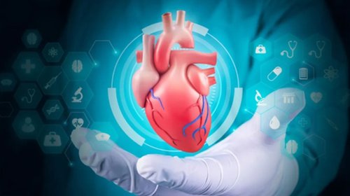 Whats_App_Image_2025_10_10_at_2_11_21_PM_73d1e0ff70