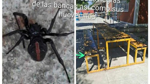 Whats_App_Image_2025_10_16_at_5_42_24_PM_1_1ab7bcadbd