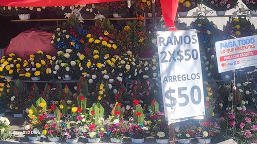 Whats_App_Image_2025_10_21_at_12_01_16_PM_1_a040f2fc03