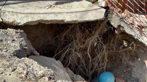 Whats_App_Image_2025_10_28_at_4_13_28_PM_2_21eba1b395