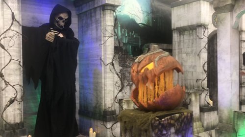 Whats_App_Image_2025_10_29_at_1_56_54_PM_d9a958cc37