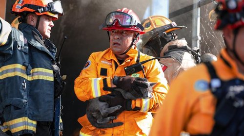 Whats_App_Image_2025_11_13_at_10_46_28_PM_f64c5dc3a3