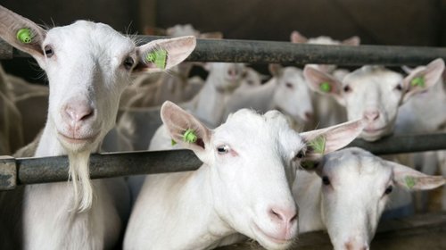 Whats_App_Image_2025_11_28_at_2_36_21_AM_c04c5b666d