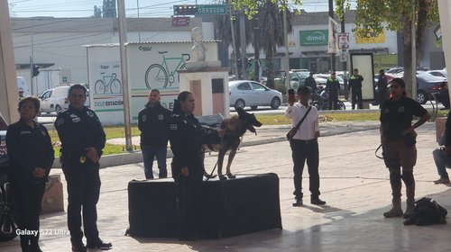 small_Whats_App_Image_2025_11_28_at_4_39_02_PM_ca3c5a7af7