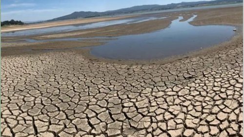 Whats_App_Image_2025_12_09_at_1_18_06_AM_9c4dd3858e