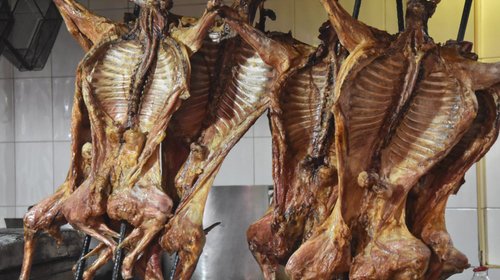 Whats_App_Image_2025_12_11_at_10_28_25_PM_1_4c6c36c102