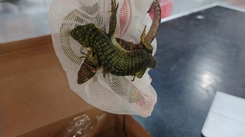 Whats_App_Image_2025_12_20_at_9_58_59_AM_1_0668736dd2