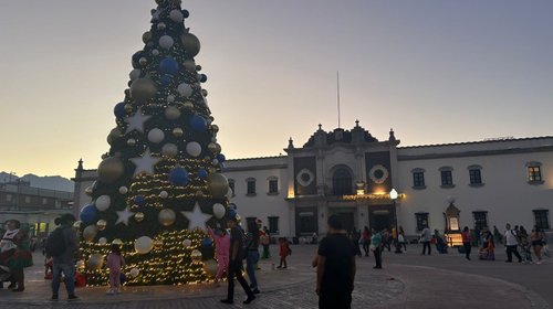 Whats_App_Image_2025_12_21_at_6_50_17_PM_1f7af883b0