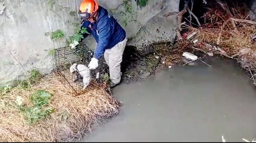 Whats_App_Image_2025_12_29_at_3_12_52_PM_63bb89ee27