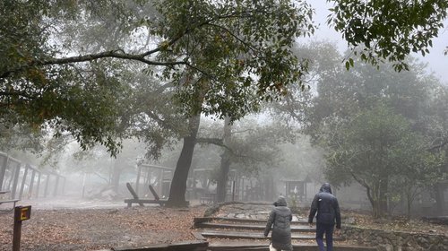 Whats_App_Image_2026_01_11_at_1_56_03_PM_85e9ab9512