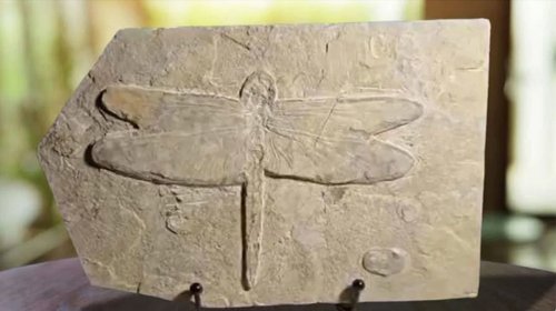 Whats_App_Image_2026_01_15_at_1_07_27_AM_a84810a53a