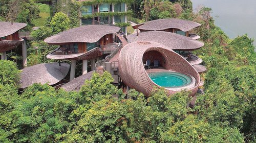 Whats_App_Image_2026_01_16_at_3_39_14_PM_59ed5f7179