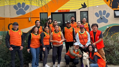 Whats_App_Image_2026_01_21_at_9_27_52_PM_0432a9d32f