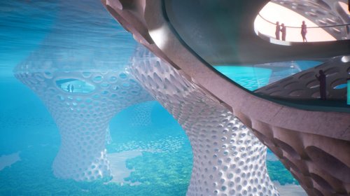 Whats_App_Image_2026_01_23_at_2_20_58_PM_1_16db6dbf89