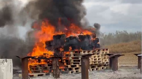 Whats_App_Image_2026_01_29_at_2_29_42_PM_0a2d0af000