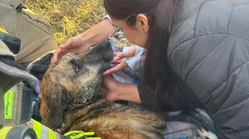 Whats_App_Image_2026_02_01_at_8_42_13_PM_3b4d7e7ff1