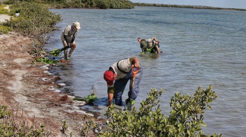 Whats_App_Image_2026_02_03_at_1_33_08_AM_9c84ae7559