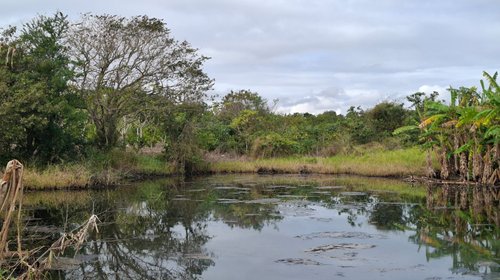 Whats_App_Image_2026_02_04_at_6_59_20_PM_2_77129d9bed