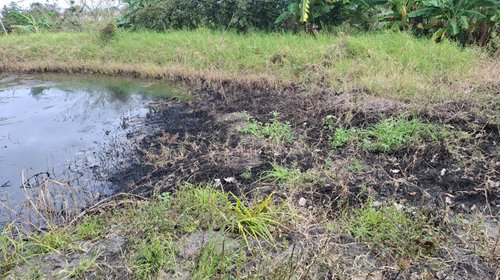 Whats_App_Image_2026_02_04_at_6_59_21_PM_cc428734c9