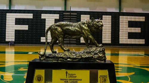 Whats_App_Image_2026_02_05_at_12_53_43_AM_e696ce8d43