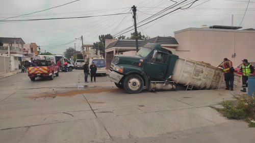 Whats_App_Image_2026_02_11_at_15_15_39_2_209078b08a