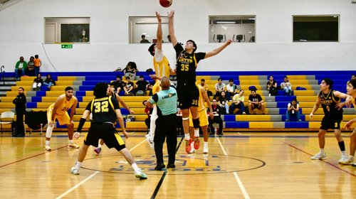 Whats_App_Image_2026_02_11_at_1_09_57_AM_dd62f50708