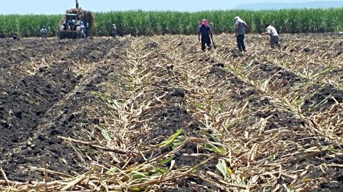 Whats_App_Image_2026_02_12_at_1_14_56_AM_aa9b2c8570