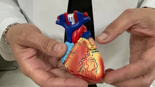 Whats_App_Image_2026_02_12_at_3_32_12_PM_9af26c8f06