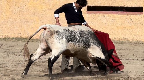 Whats_App_Image_2026_02_13_at_12_51_45_AM_60e08a9b09