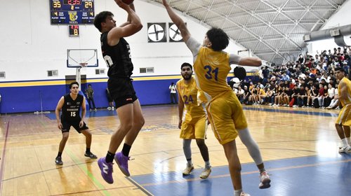 Whats_App_Image_2026_02_24_at_1_12_52_AM_25a42556ef