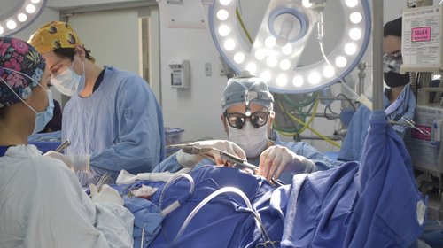 Whats_App_Image_2026_02_25_at_7_03_25_PM_bff9742dee