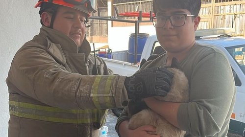 Whats_App_Image_2026_02_26_at_2_17_59_PM_65bd353ad2