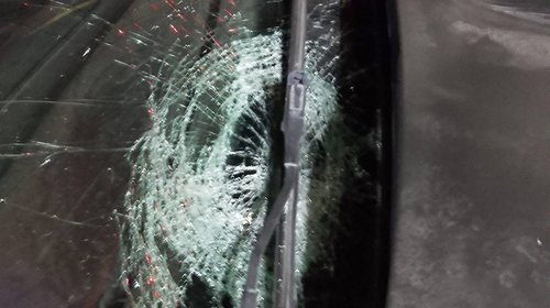 Whats_App_Image_2026_03_02_at_11_23_00_PM_3dbf26cbc4