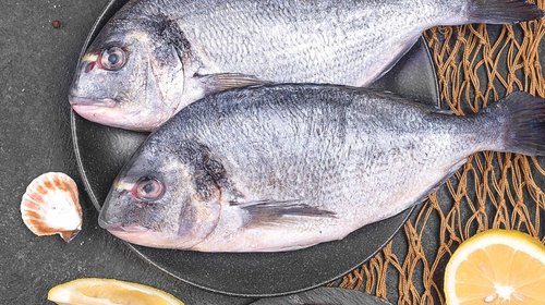 Whats_App_Image_2026_03_03_at_2_33_57_PM_4cf699bcec