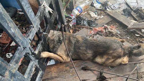 Whats_App_Image_2026_03_07_at_2_03_17_PM_50a8d5ea00