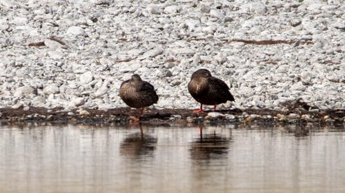 Whats_App_Image_2026_03_09_at_3_25_37_PM_b56785a840