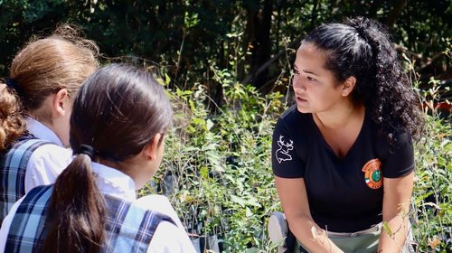 Whats_App_Image_2026_03_09_at_5_31_13_PM_de81f4d112