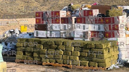 small_Whats_App_Image_2026_03_11_at_13_21_44_09832c38b3