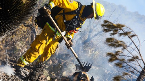 Whats_App_Image_2026_03_14_at_19_17_17_d9be3f410f